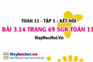 Giải bài 3.14 trang 69 Toán 11 tập 1 SGK Kết nối tri thức
